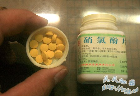 ����29ֻ��Ȯ������ҩ��������(��ͼ)