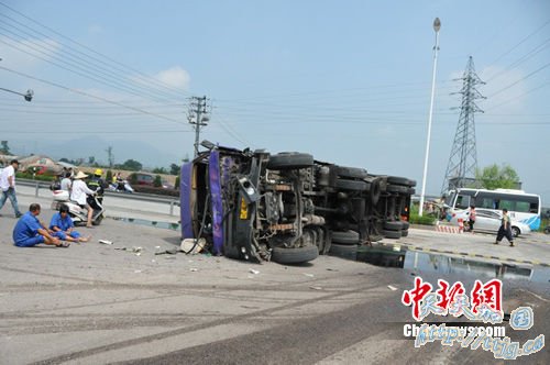 �㽭����һ���۹޳����� 30��ֲ�����������