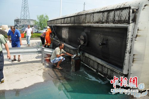 �㽭����һ���۹޳����� 30��ֲ�����������