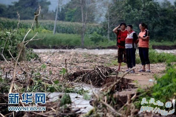 11ʱ30��������ֱ������Ͷ��Ԯ������������������