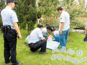 ŮӤ���ڲݴ���