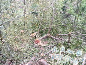 �������侯�������ش�춹ɼϵ�е�����(ͼ)