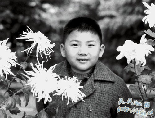 ë����̸�ٽ����� �״��ṩ��ͥ��Ƭ(��ͼ)