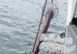 �����󽫸�ľ�ϳɳ���Ǳͧ ����30��ö�