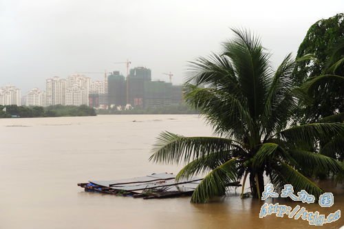 2010105գǿ꣬Ȫˮǡѧ / IC
