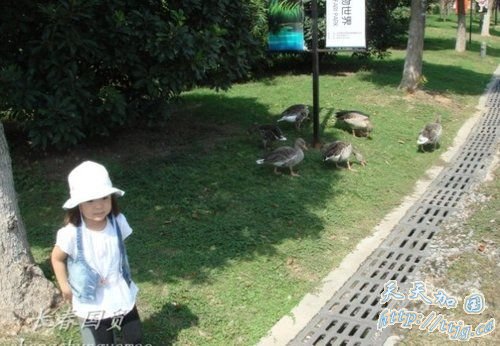 �ƽ���Ů�������ع⡣