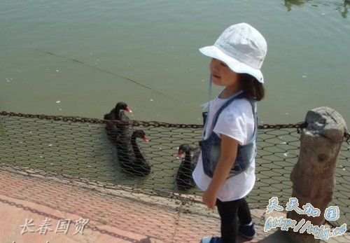 �ƽ����Ů�����Ρ�