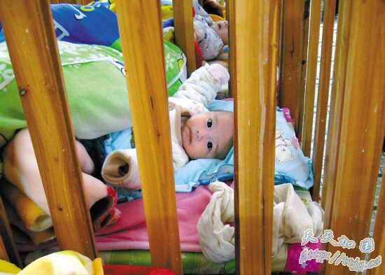 �㶫�ƻ�Ӥ�� 11�������Ӥ�޼ҿɹ�(ͼ)