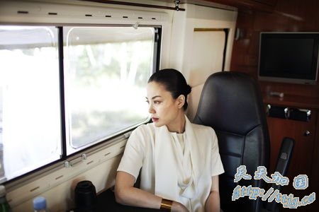王菲:人前是女神 人后是贫嘴“女神经病”(图)