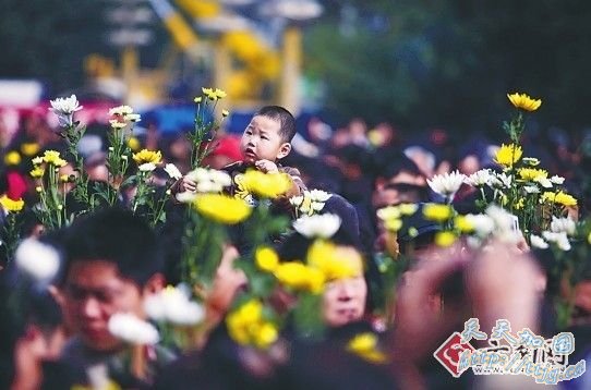 &ldquo;23��С����������&rdquo;�¼�׷�٣�����ʹ�����Ӣ��(��ͼ)