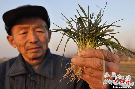 ���������������ɺ� �����������������в