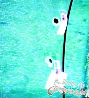 ǹս���˳������µĵ���