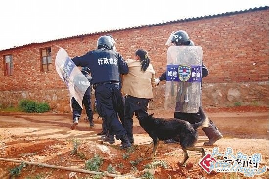 �����������ֳ� ���� ������ ��