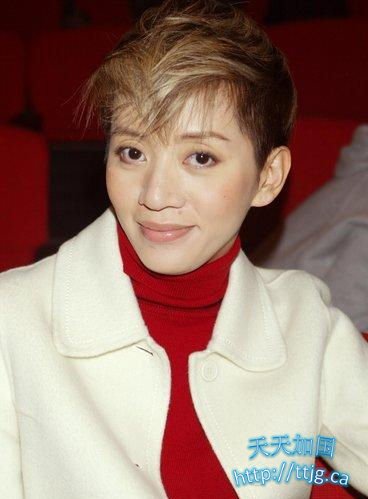 梅艳芳(资料图)