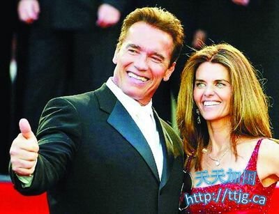 ��˵�������ϣ�ǰ�ݳ�Ҫ���